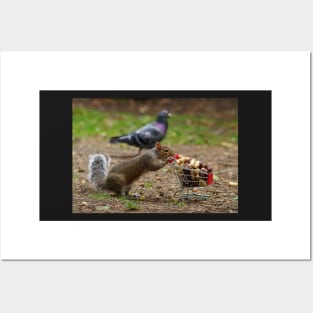 squirrel with shopping cart Posters and Art